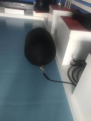 D1M*EL12M W Type Rubber Fender For Jetty Protection 6-8 Years Service Life