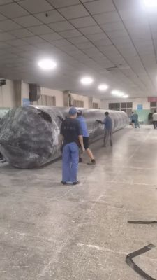 Diameter 30-5000mm Ship Launching Airbag for Maximum Efficiency in Rolling or Lifting Installation